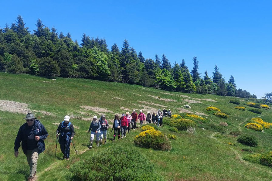 Groupe de randonneurs sur un sentier de montagne en Ardèche, au cœur d’un paysage verdoyant